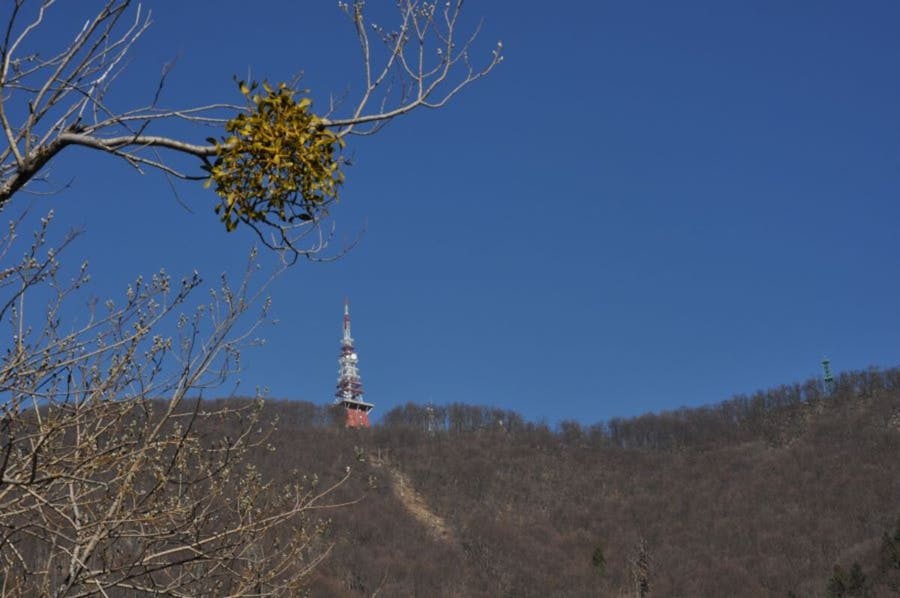 34. Pohod družin na Boč